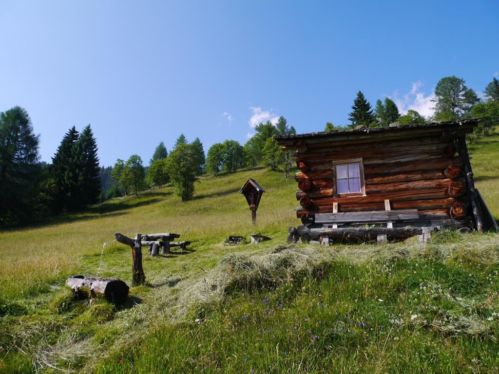 Bauernhof Im Wiesengrund Maria Luggau Luaran gambar