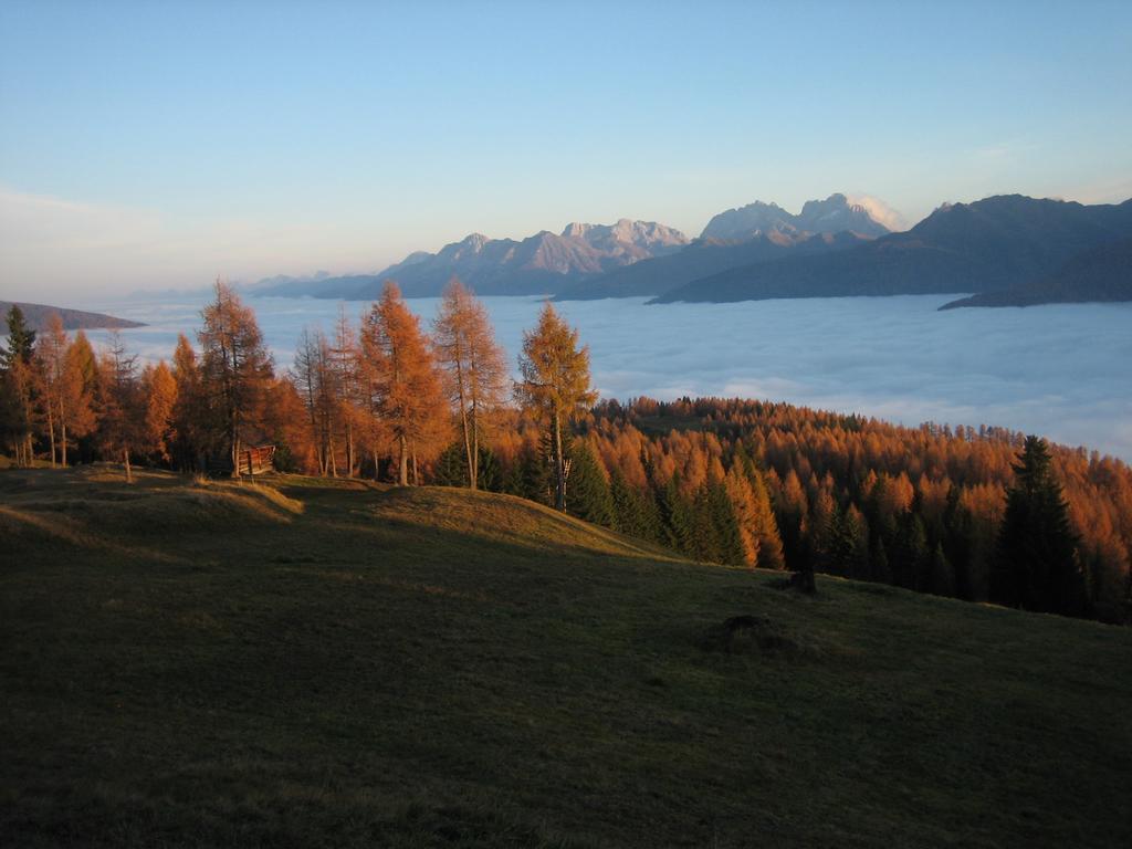 Bauernhof Im Wiesengrund Maria Luggau Luaran gambar