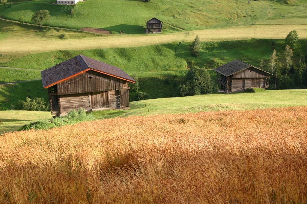 Bauernhof Im Wiesengrund Maria Luggau Luaran gambar